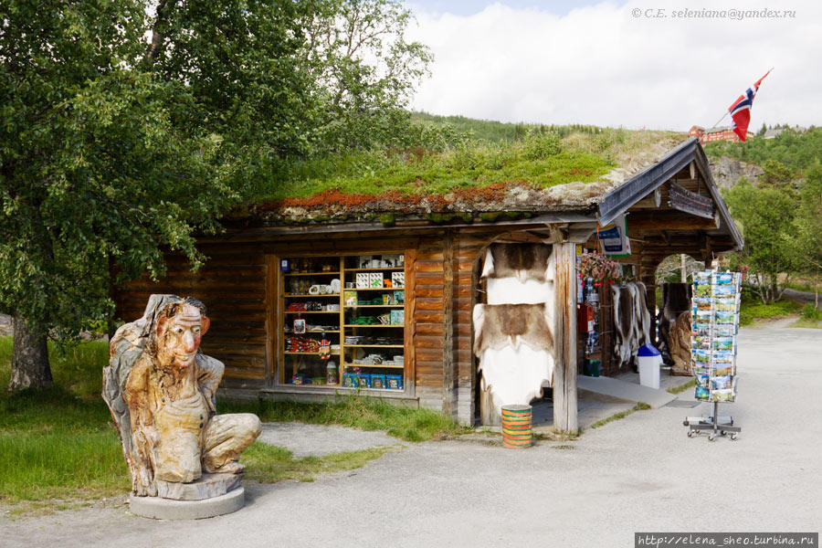 4. Избушка с сувенирами, которые продают в каждом месте, где останавливаются туристы. Норвегия