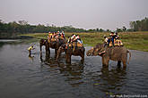 Посреди реки устроили небольшую остановку, во время которой слоны немного попили и искупались.