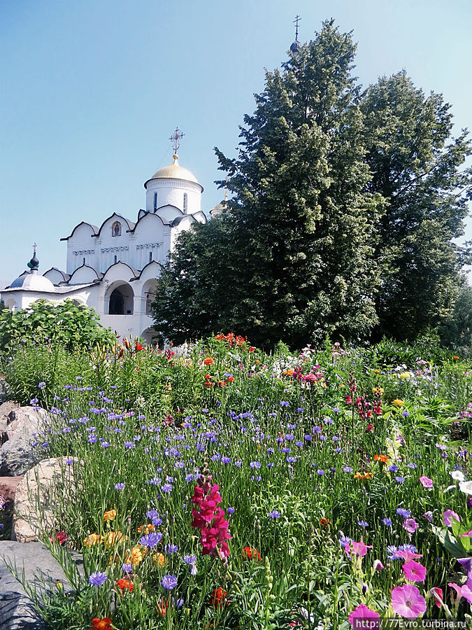 Покровский Собор утопает в цветах