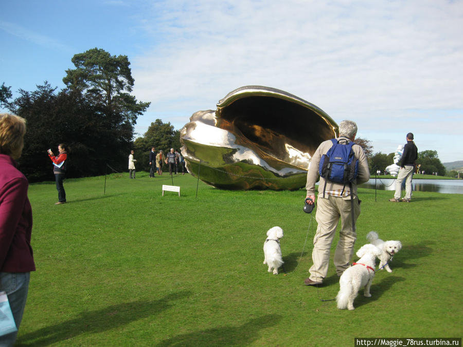 На Спираль Галактики пришли поглазеть даже собаки Чатсворт, Великобритания