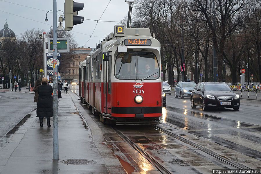 Трамвай на Ринге.