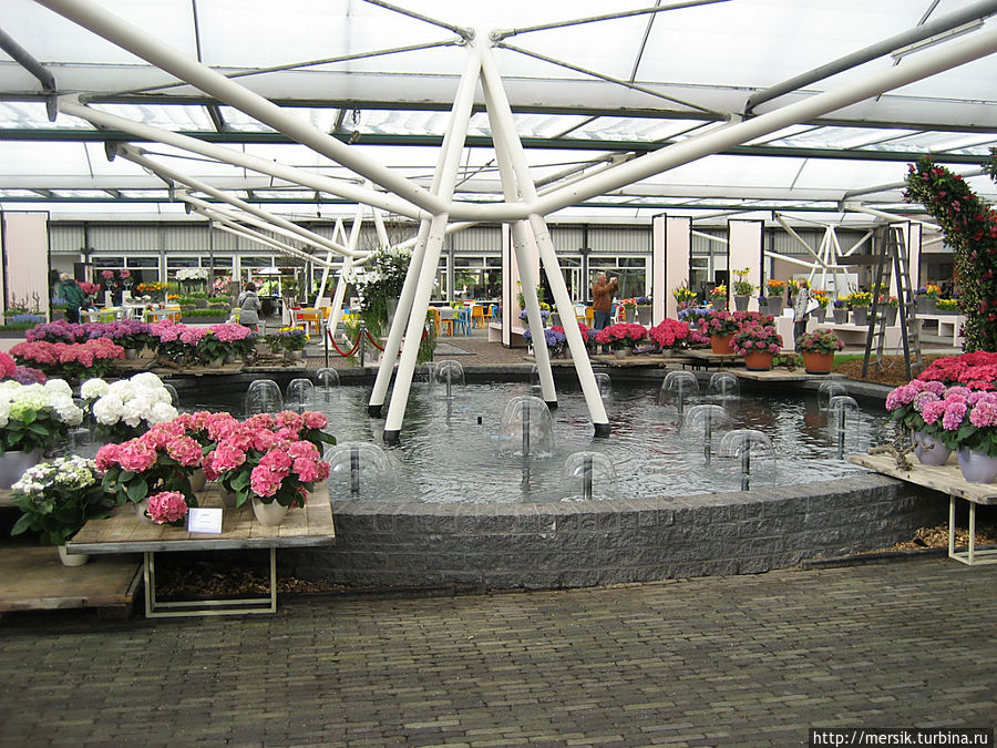 Парк тюльпанов Кёкенхоф. Павильон Виллем-Александр Лиссе, Нидерланды