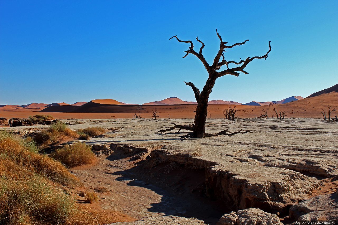 Мертвая долина Парк Намиб-Науклуфт, Намибия