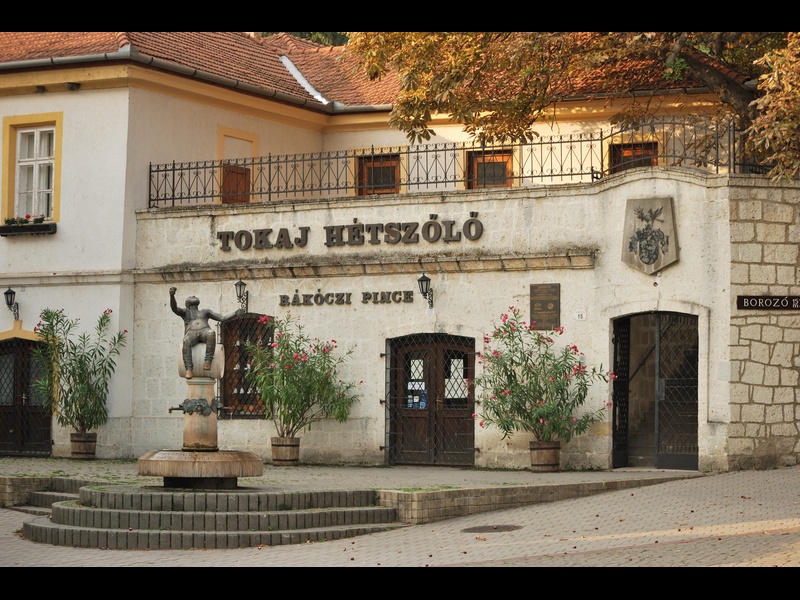 Королевский винный погреб Ракоци / Rakoczi Pince wine cellar