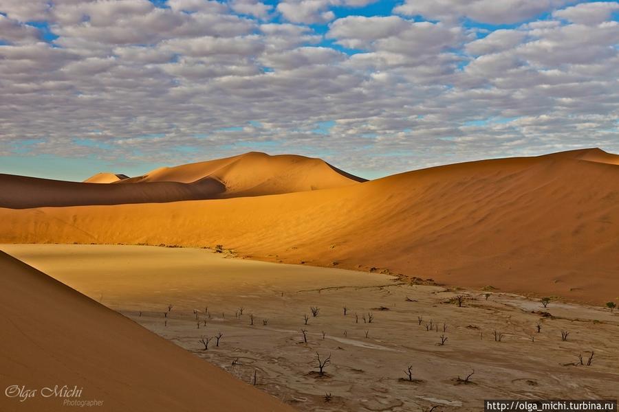 Знаменитая Мертвая долина (Deadvlei)