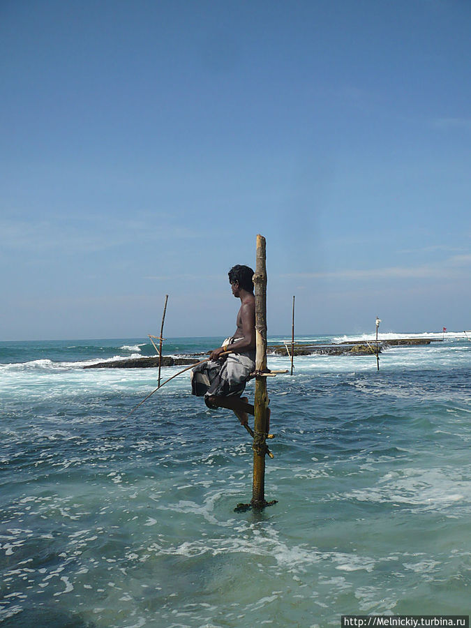 Рыбалка в Хабарадуве Южная провинция, Шри-Ланка