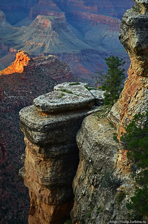 Сердце не может не биться чаще, видя красоту Гранд Каньона!