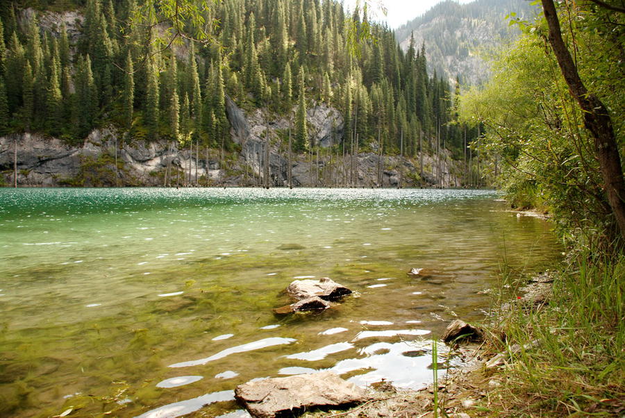 озеро Каинды Кольсайские Озера Национальный Парк, Казахстан
