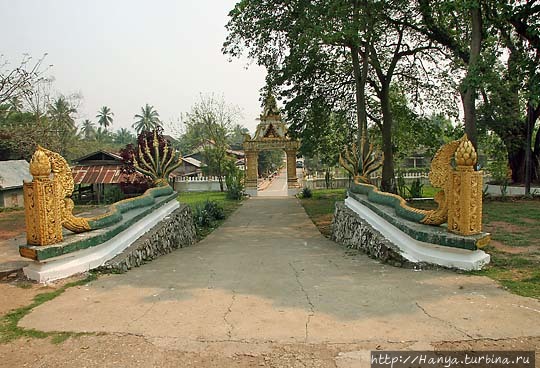 Ват Тхат Луанг. Пара волнистых змей-нагов возле входных ворот. Фото из интернета