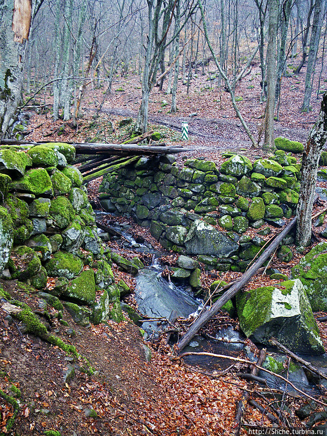 кусочки цивилизации в глухом лесу