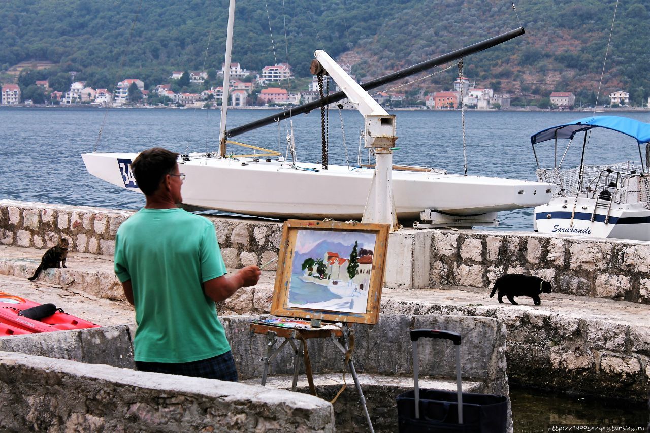 Художник и некоторые кошки, ничего непонимающие в живописи Пераст, Черногория