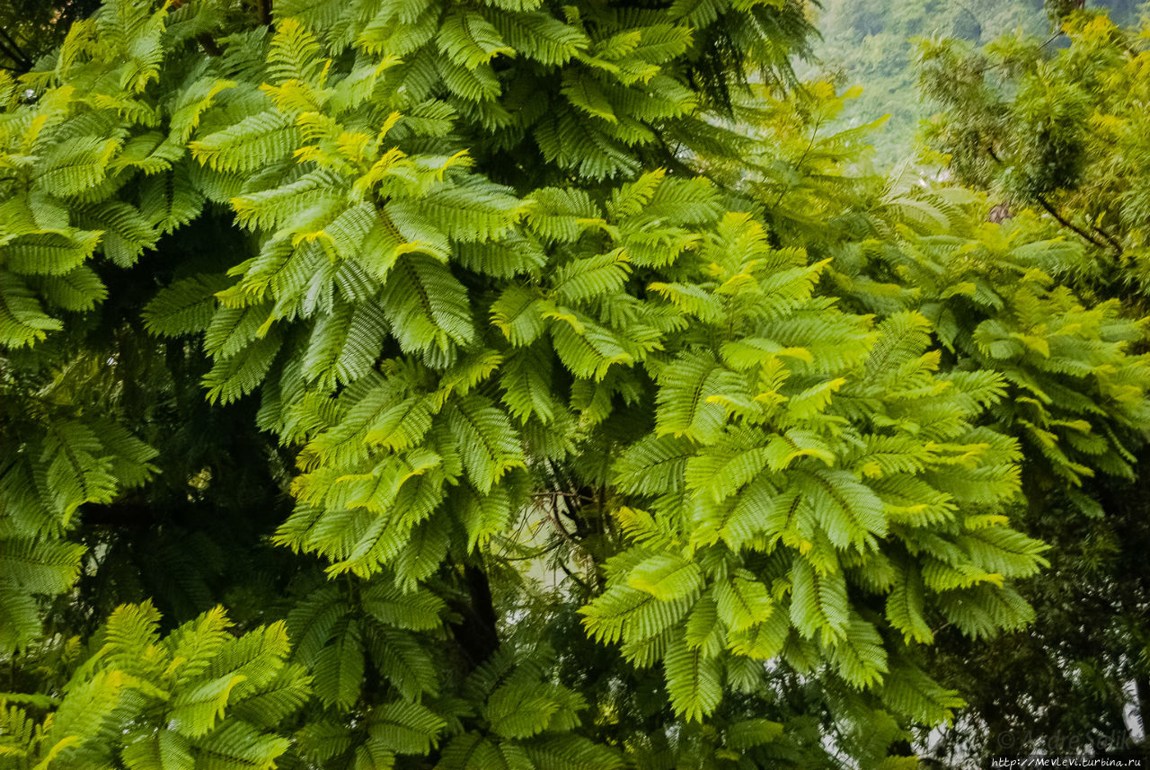 Монастырь школы гелугпа. Ревалсар