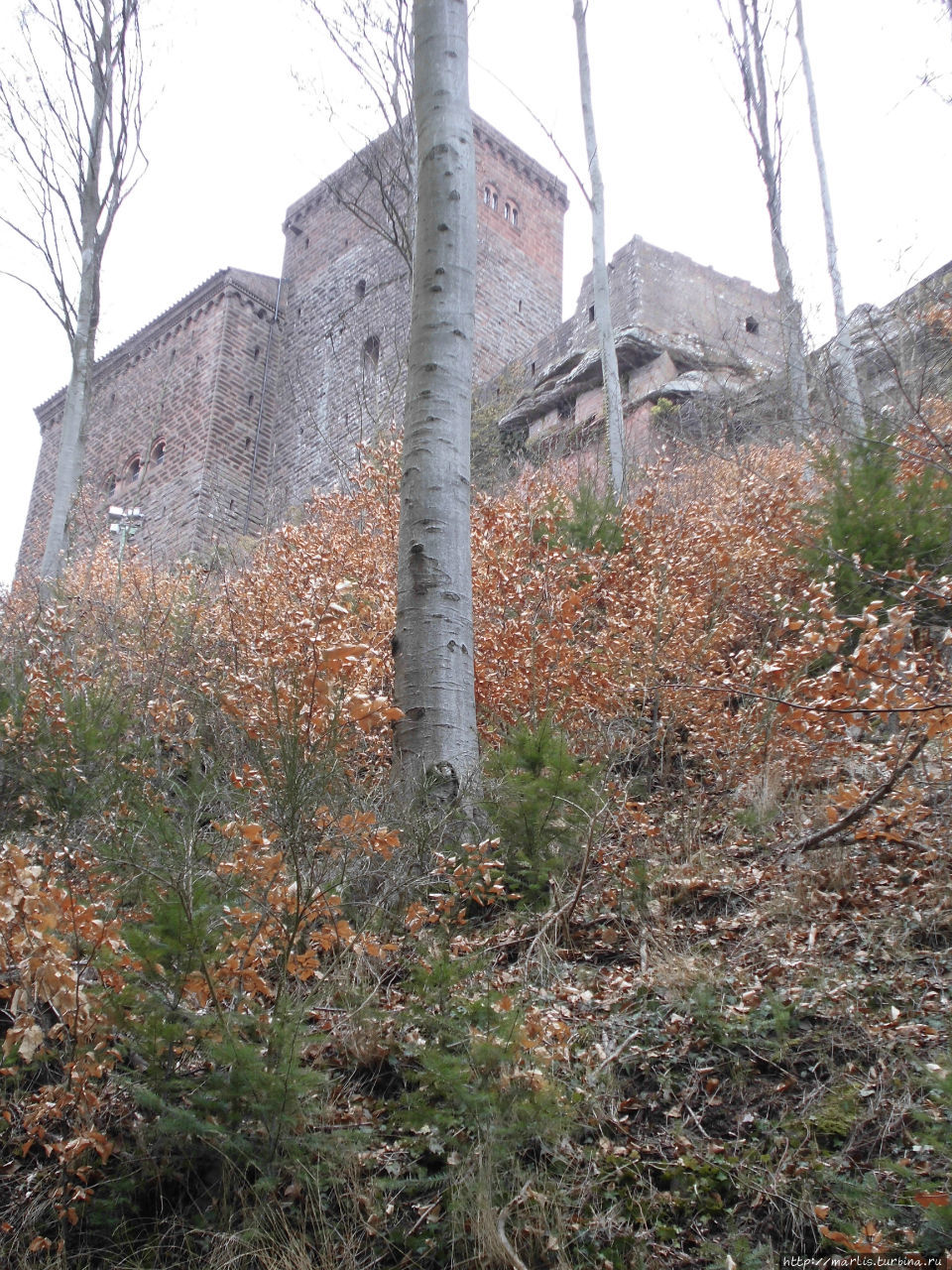 Замок Трифельс, Аннвайлер-ам-Трифельс / Burg Trifels