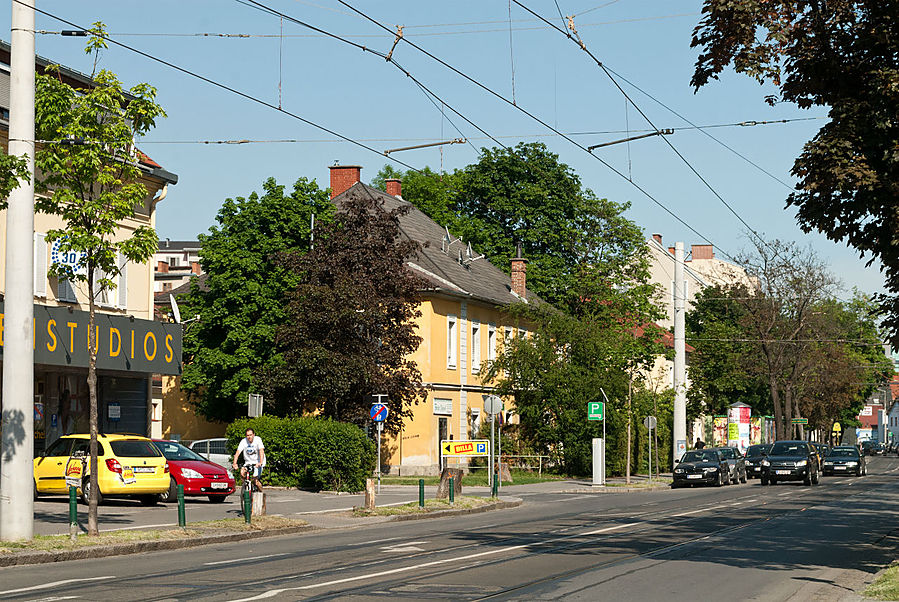 Выяснилось, что неплохо живут.