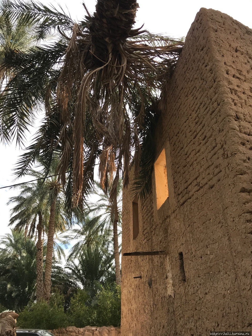 Как не засохнуть в Сахаре - акведуки для пальм