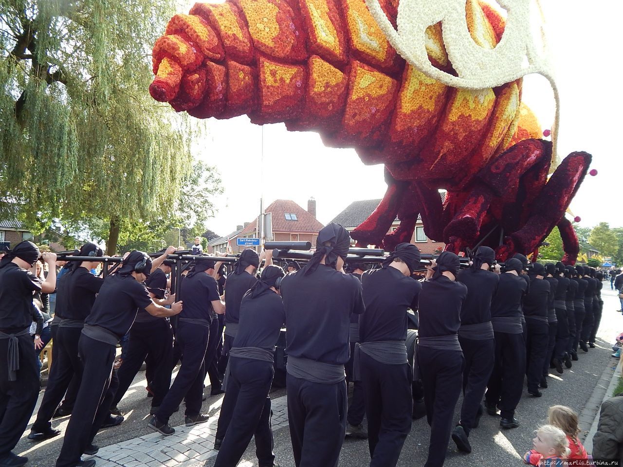 осенний парад.