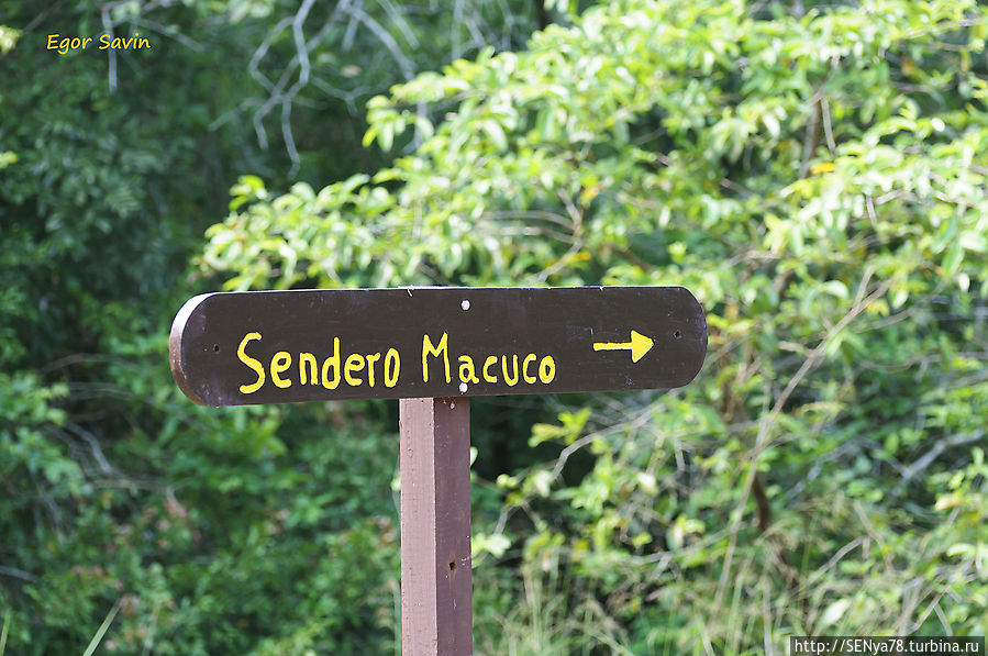 В национальном парке Игуасу (Аргентина), тропа Макуко Пуэрто-Игуасу, Аргентина