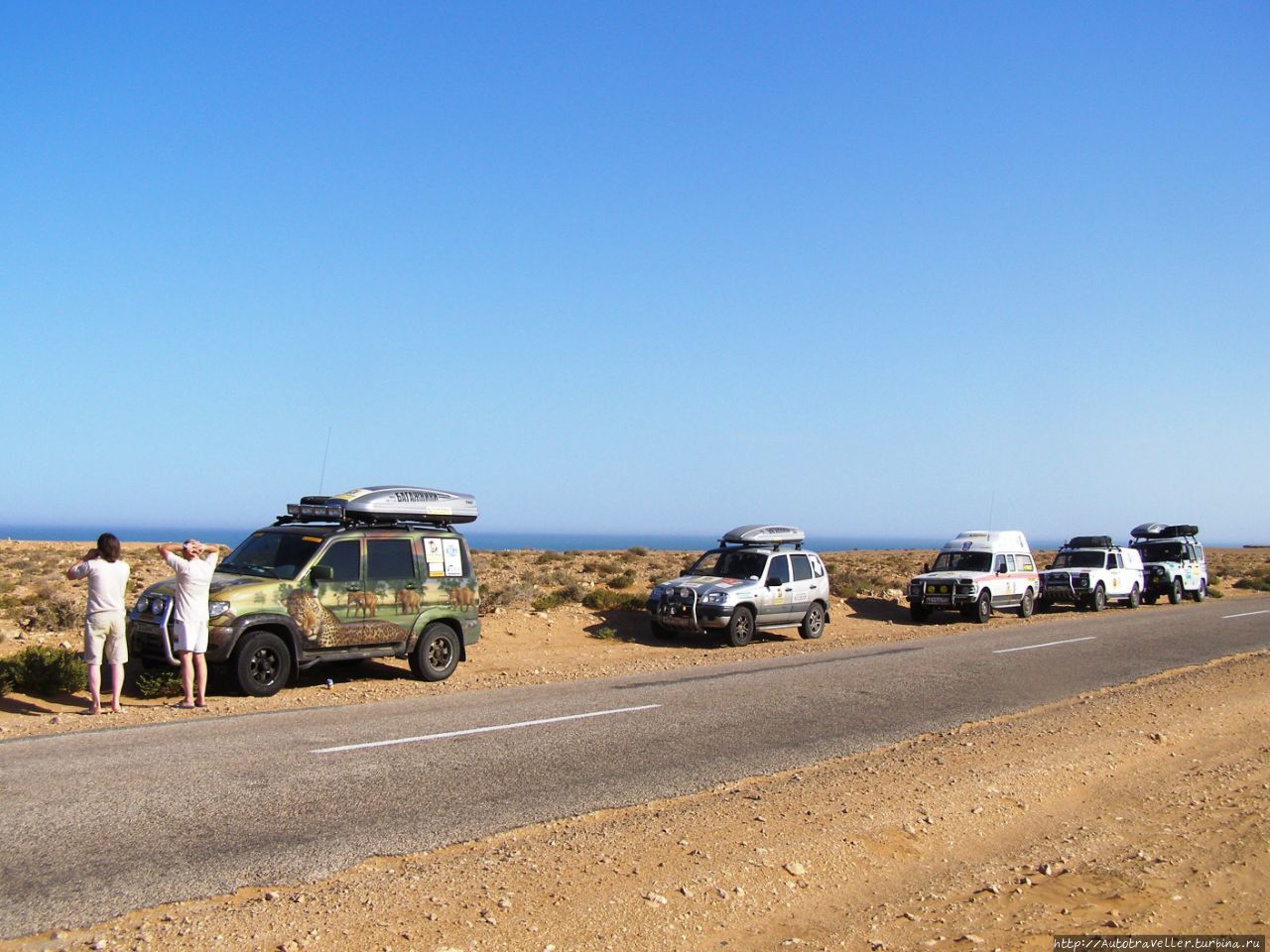 ПРОДАЮ МОЗГИ. Часть 1.