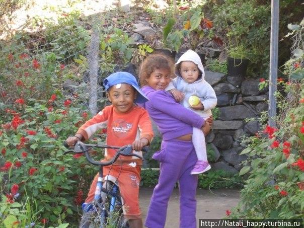 Художник edward atkinson. Фотограф адриан соммелинг. Эпиграф про детство. Первое детство. Беспечного детства.