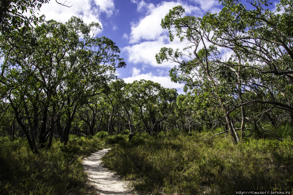 Еще один национальный парк Австралии — Грампианс Грампианс Национальный Парк, Австралия