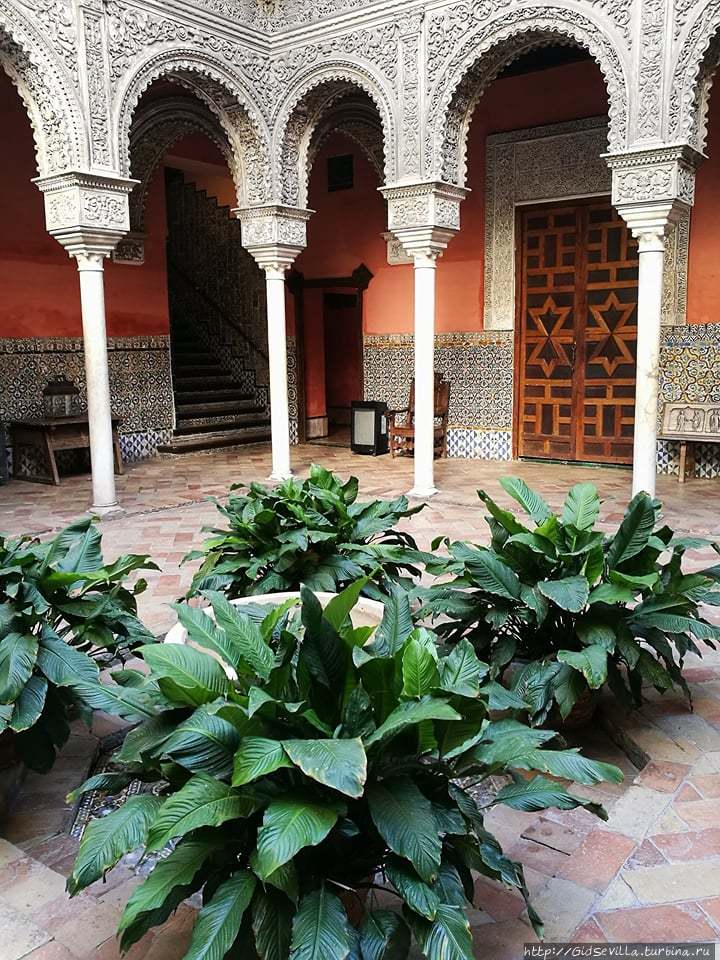 Patio Севилья, Испания