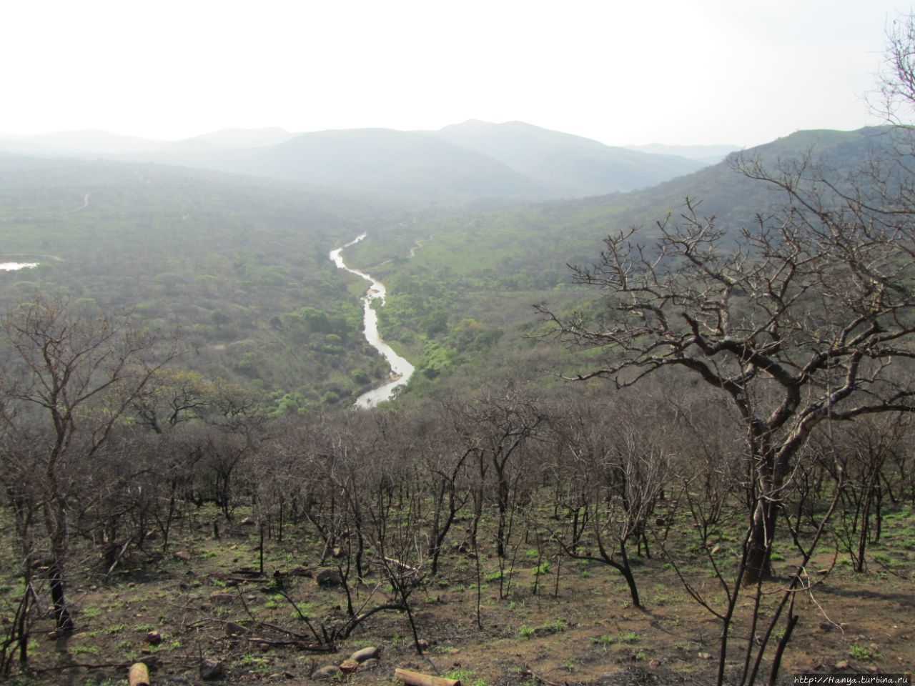 Парк Hluhluwe Imfolozi Game Reserve Шлушлуве-Умфолози Национальный Парк, ЮАР