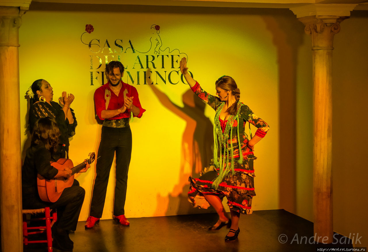 Casa del Arte Flamenco Гранада, Испания