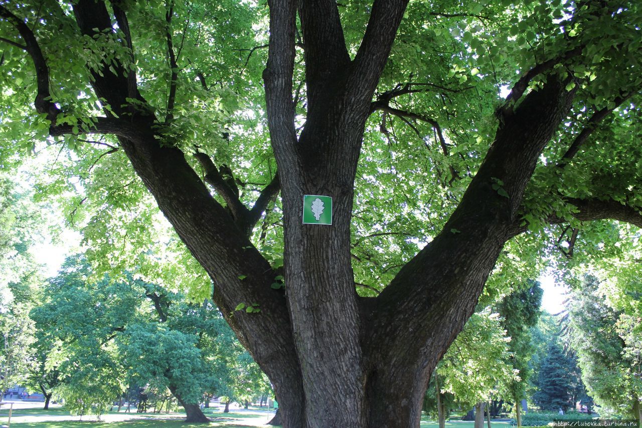 Зелёное сердце Риги Рига, Латвия
