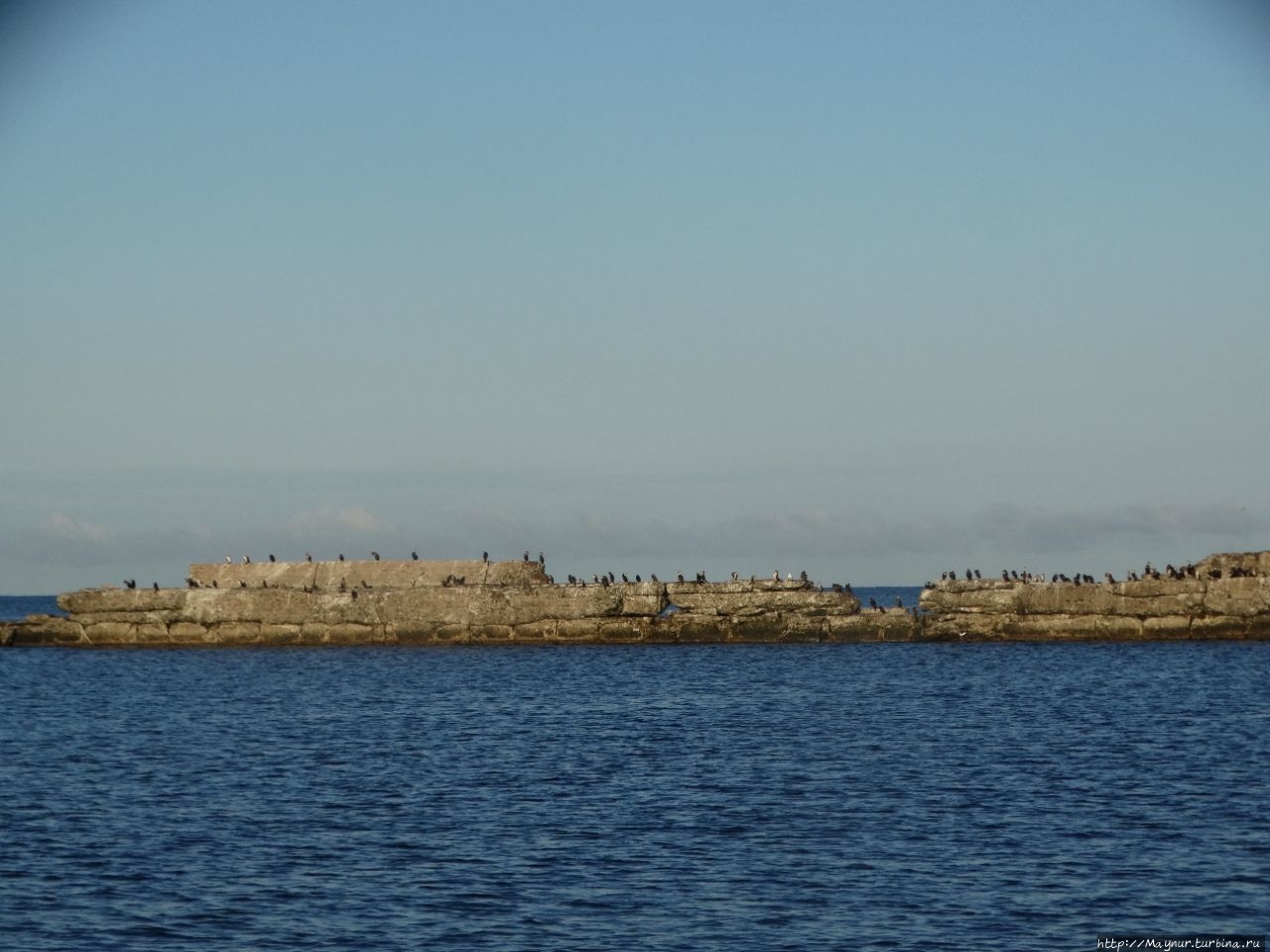 Есть в Татарском проливе остров Остров Монерон, Россия Есть в Татарском проливе остров Остров Монерон, Россия