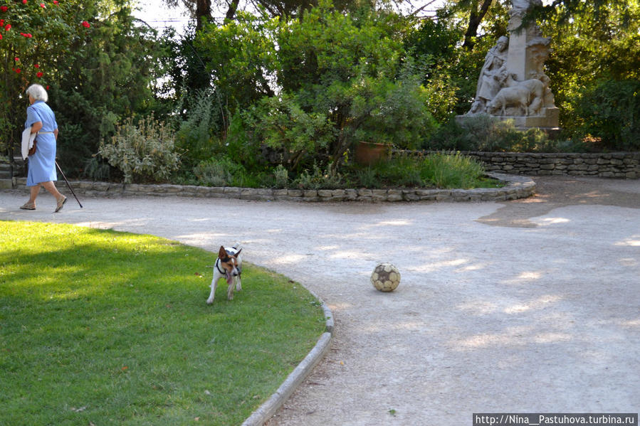 Сады Роше-де-Дом — место, где можно отдохнуть Авиньон, Франция