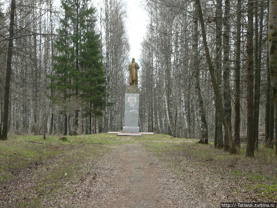 Грачи прилетели Костромская область, Россия