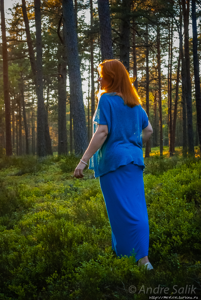 Красивое взморье Юрмала, Латвия