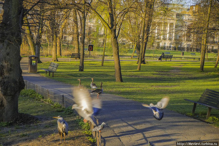 Риджентс-парк Лондон, Великобритания
