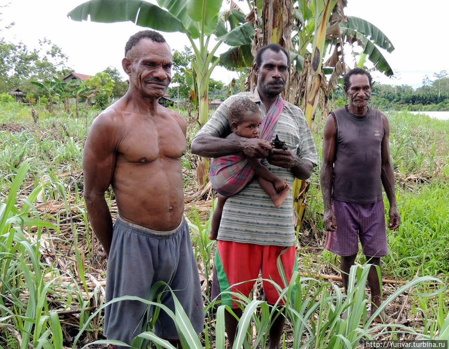Мужчины племени Ситак Митак очень любопытны Джайпура, Индонезия