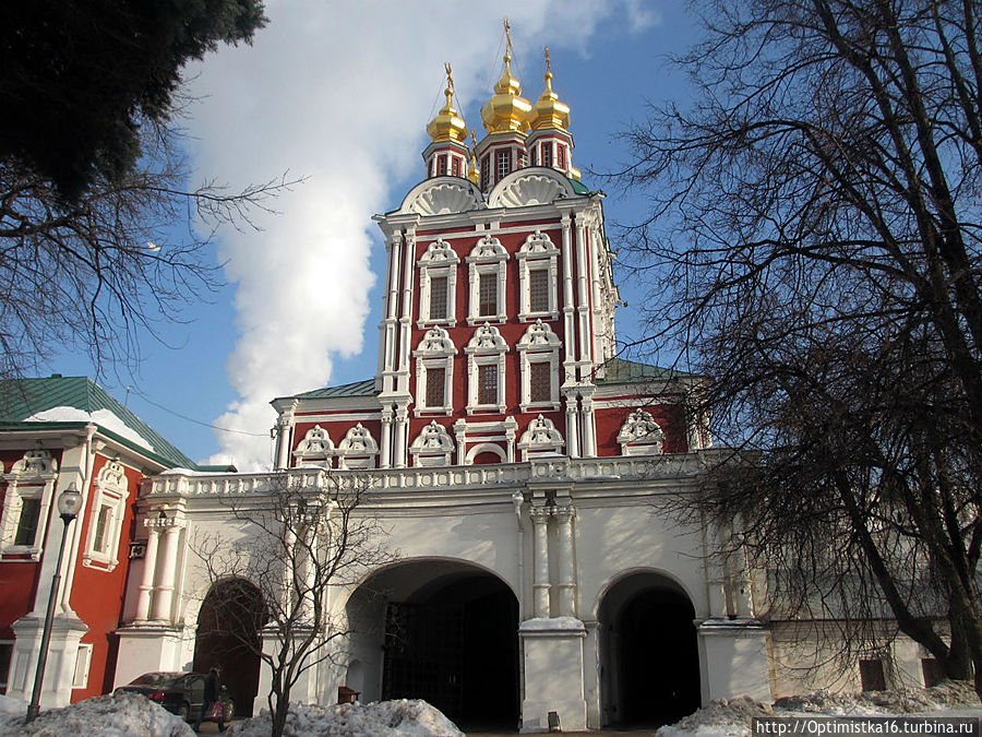 Случайная прогулка по Новодевичьему монастырю Москва, Россия