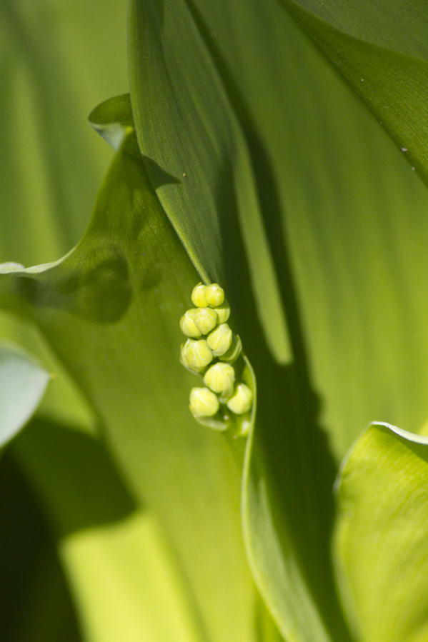 Живность вокруг нас Днепропетровская область, Украина