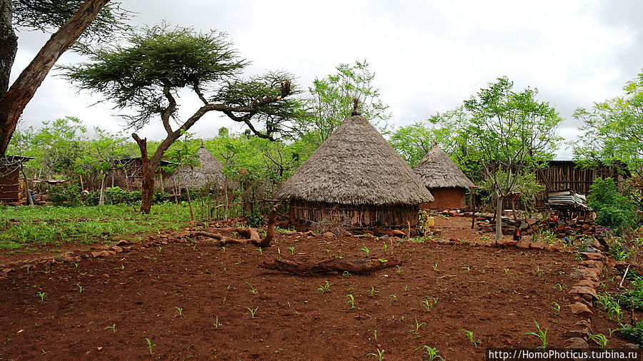 Этнография Эфиопии: деревня консо