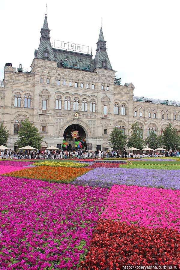 Благоухающий ковер Красной площади Москва, Россия