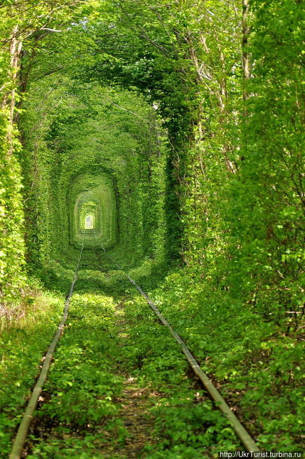 Тоннель любви — удивительное место... Клевань, Украина