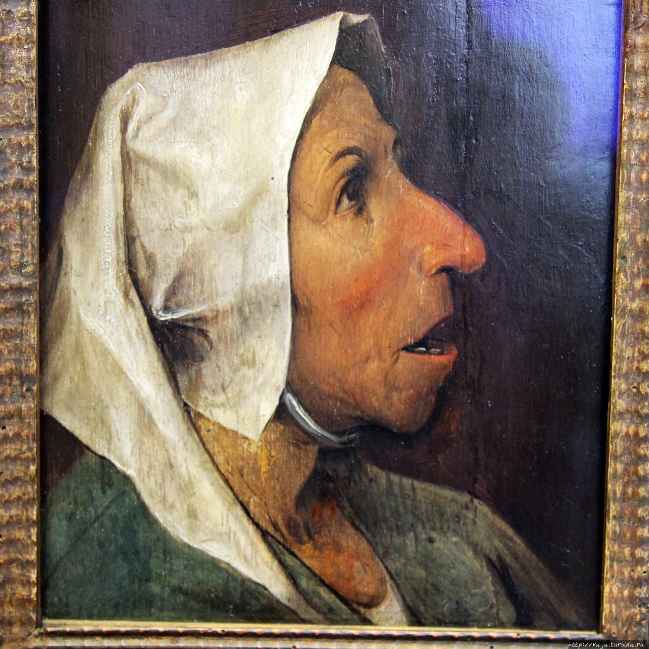 Питер Брейгель  Портрет пожилой женщины Мюнхен, Германия
