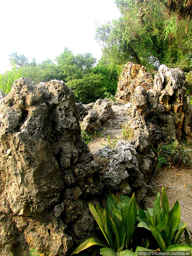 Камни парка