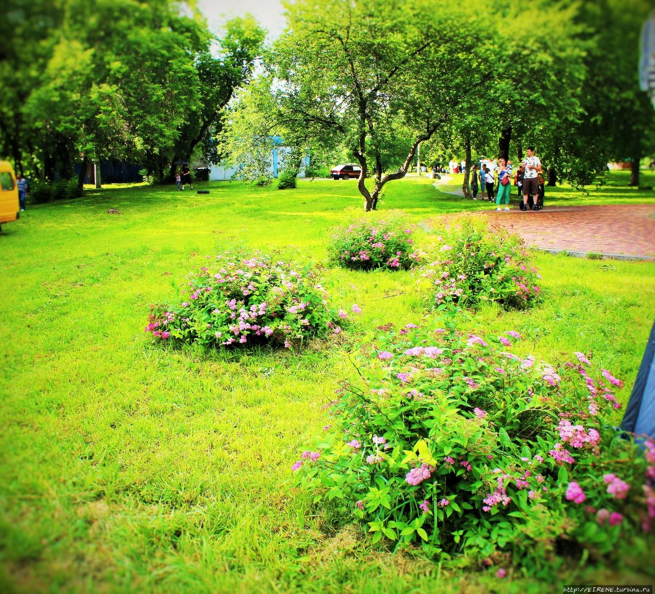 Прошлым летом, в цветочном городе. Новокузнецк, Россия