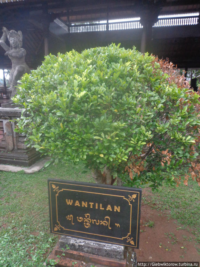 Павильон Бали в парке 