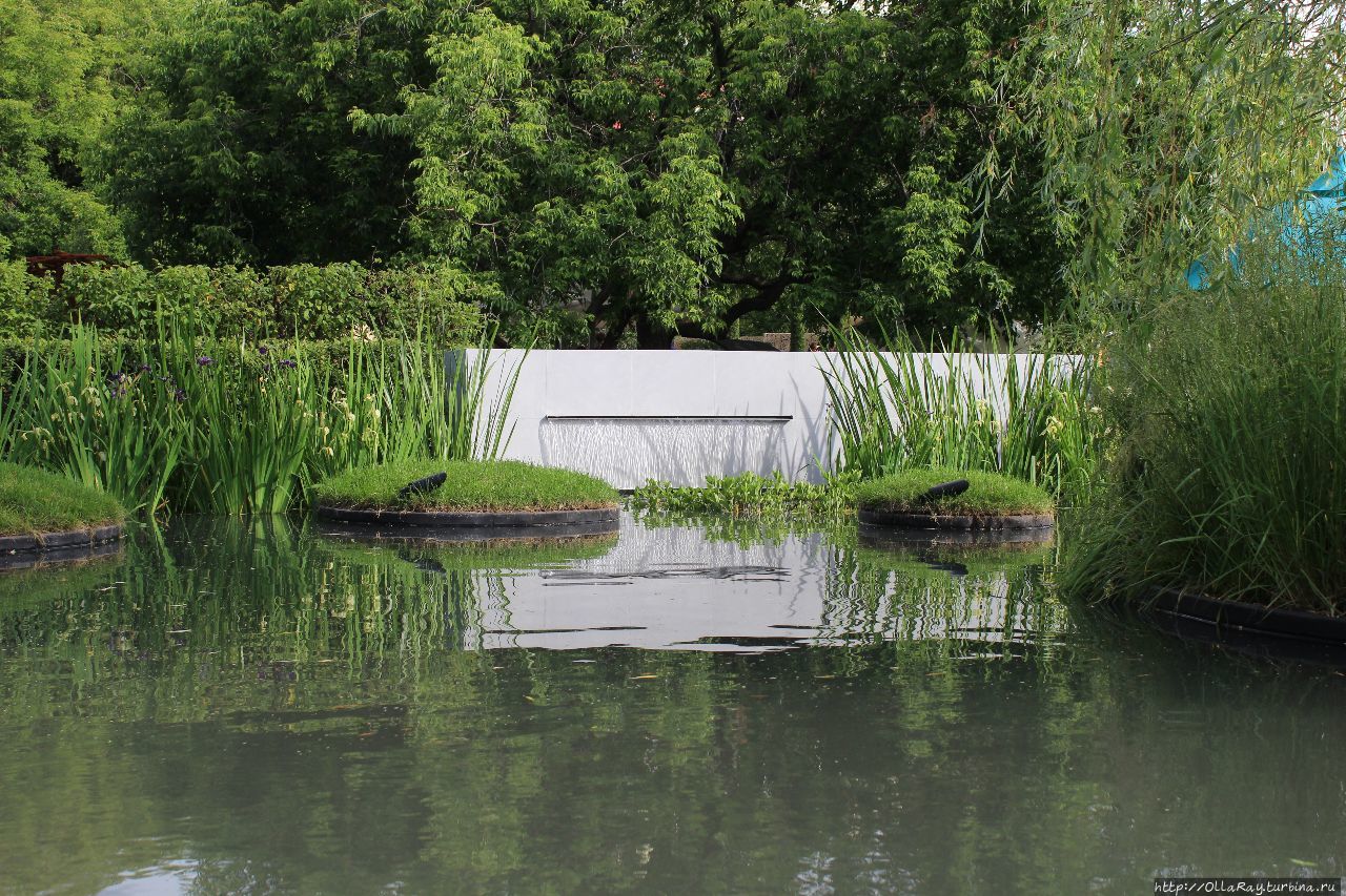 Moscow Flower Show 2017. Фотоотчёт и впечатления. Москва, Россия