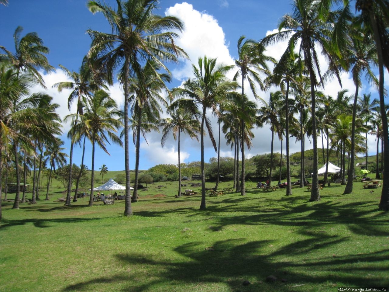 Playa Anakena & Ahu Nau Nau Остров Пасхи, Чили