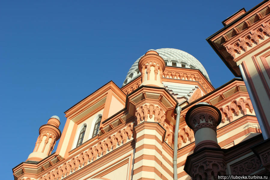 Сайт синагоги петербурга