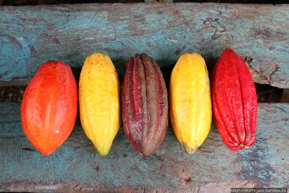 Итоги за этот год