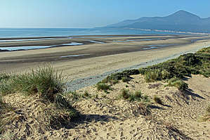 Пять километро побережья между городами Ньюкасл и Дандрум в Северной Ирландии составляют природоохранную зону Murlough, занятую песчаными дюнами