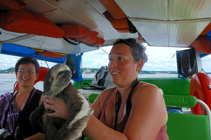 Местные пацаны подплывают на лодках и дают подержать ленивца Манаус, Бразилия