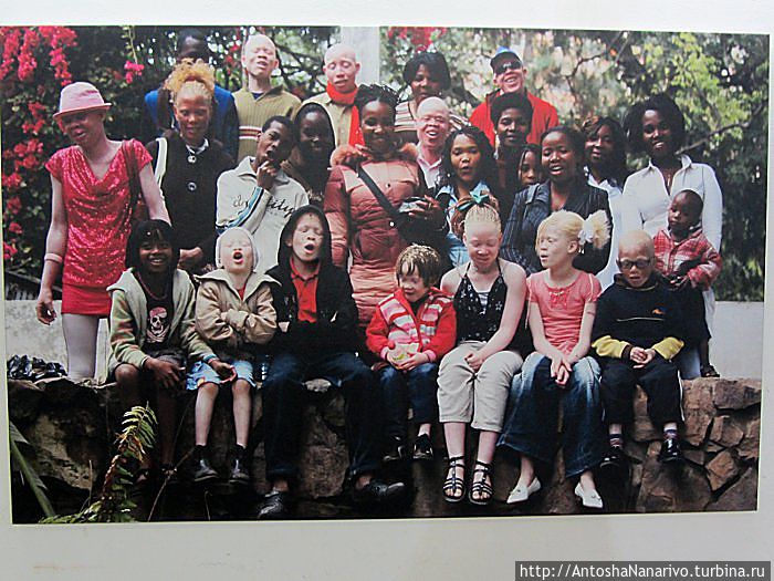 Дети Луны Мозамбик